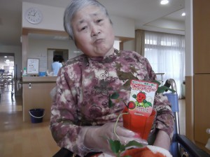 【福祉館恵海：うみかぜ：はまゆう】いちごを植えました！！①
