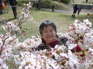 桜シリーズ　その③