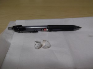 つばめの〇〇〇！