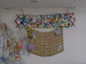 あさがお。