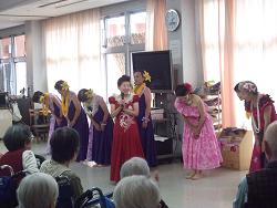フラダンス20130909
