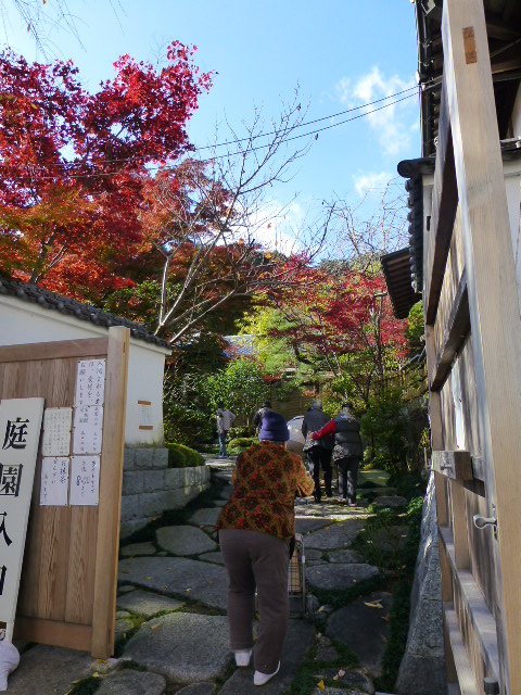 P1030222