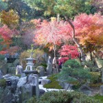 12/3紅葉狩り