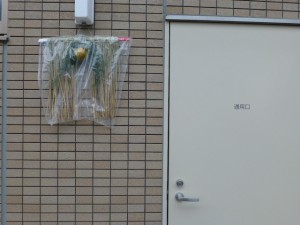 P1030426