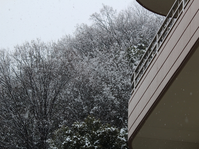 雪景色　やすらぎの郷