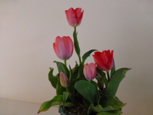 004