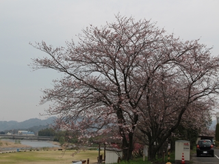 花観音まつり　十全第二病院