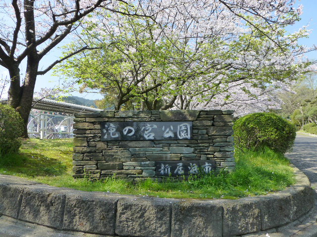 お花見歩行会