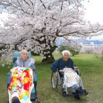 新居浜市特別養護老人ホーム　ハートランド三恵　お花見