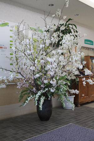 東北の桜