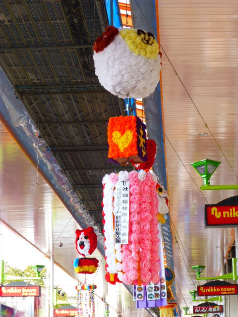 P1050293