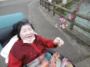 ◆滝の宮公園にお花見に行きました(^^♪