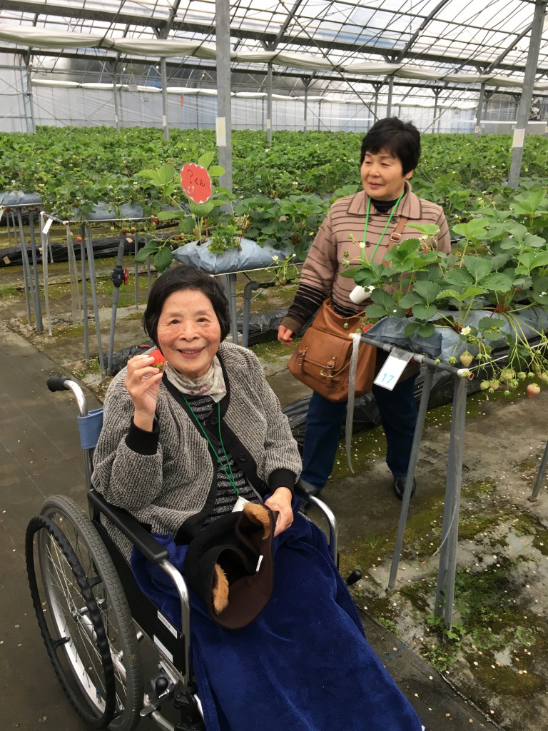 ◆イチゴ狩りに行ってきました(^^♪◆