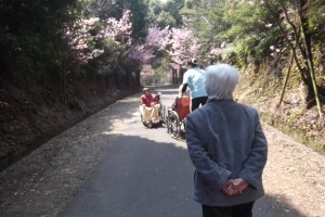 ◆珊瑚の皆様もお花見ドライブに行かれました(^O^)◆