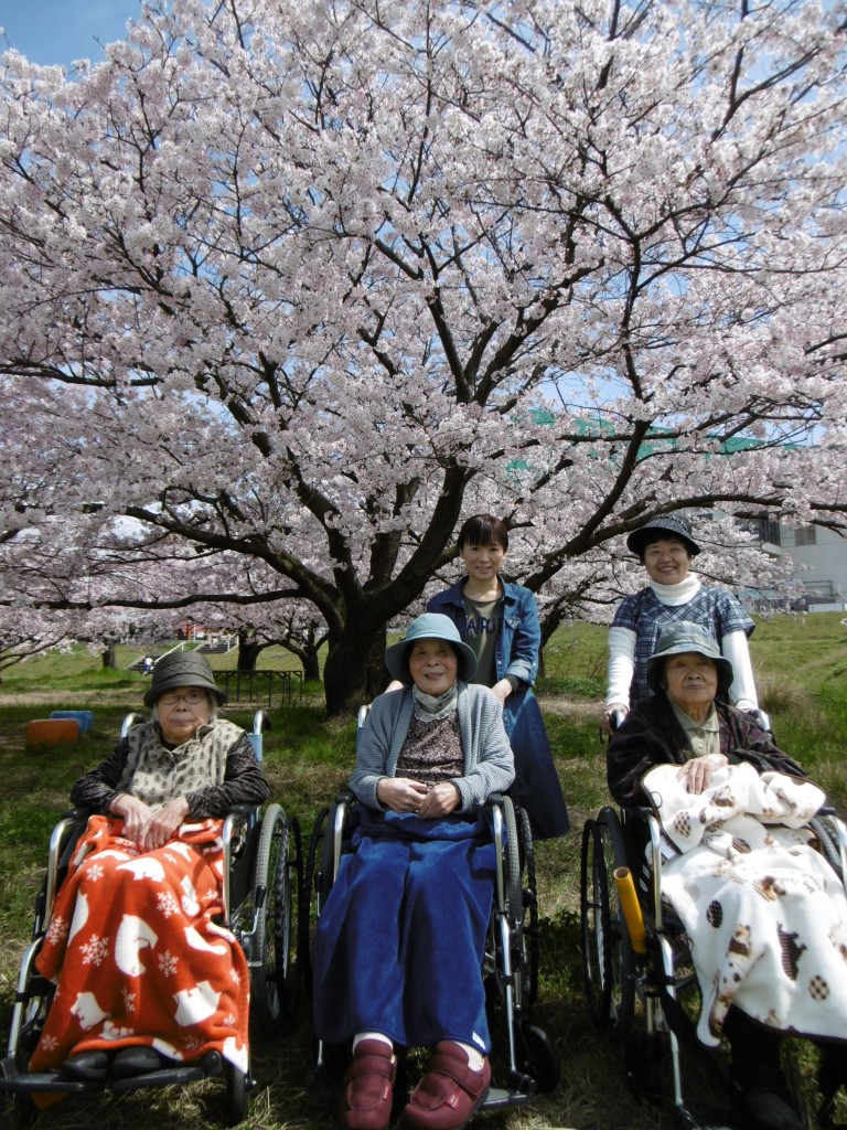 ◆国領川の河川敷は満開でしたヽ(^o^)丿◆
