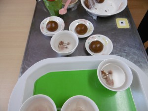 【渚】桜茶とおまんじゅうで一息(*^_^*)