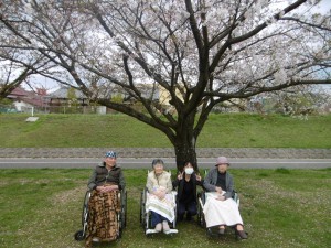◆河川敷へお花見(^^♪◆