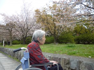 お花見ドライブに行かれました(^O^)