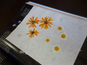 ◆押し花を作られています(^^♪◆