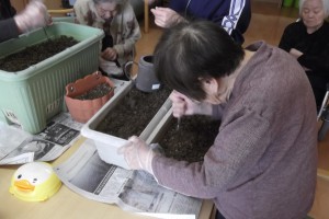 ◆ひまわりとプチトマトの種を植えて頂きました(^O^)◆