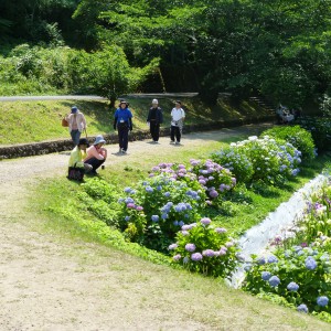 P1010607