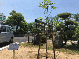 新棟のご案内　十全第二病院