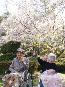 滝宮公園*゜✽。+*✽ 　（´ω`*）桜*。
