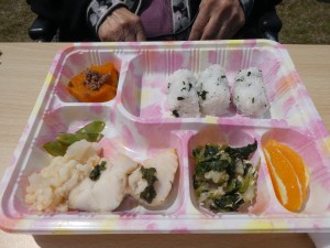 (*´д｀*)〇お花見ﾉ弁当です｡