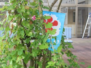 IMG_1452_R