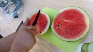 P1040135