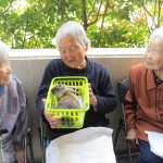 移動動物園がやってきました♪