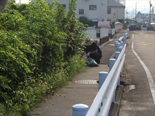 IMG_8675_R