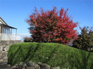 IMG_0075_R1