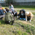 草引き・石拾いで畑の準備