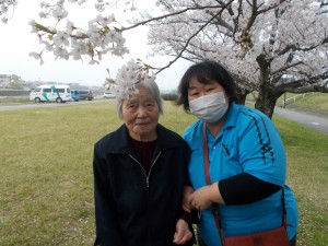 GH  お花見