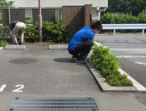 園庭清掃