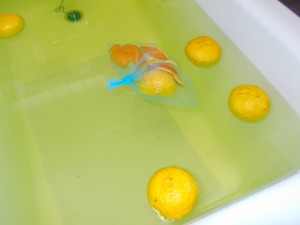 GH　冬至
