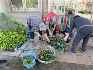 IMG_2433_R1