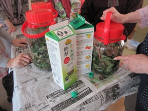 IMG_2446_R1