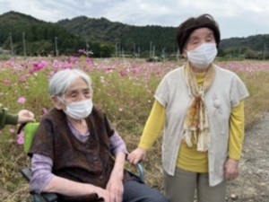 GH  コスモス見物