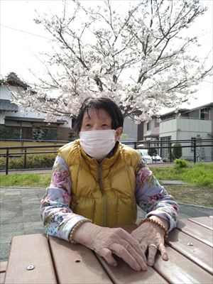 お花見ドライブ
