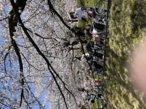 IMG_3782