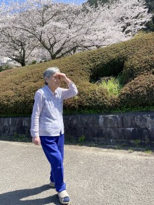 GH桜を見に行きました