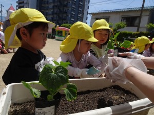 DSC00564