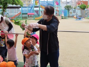 IMG_0629