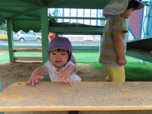 IMG_0631