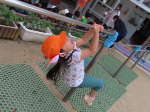 IMG_0651