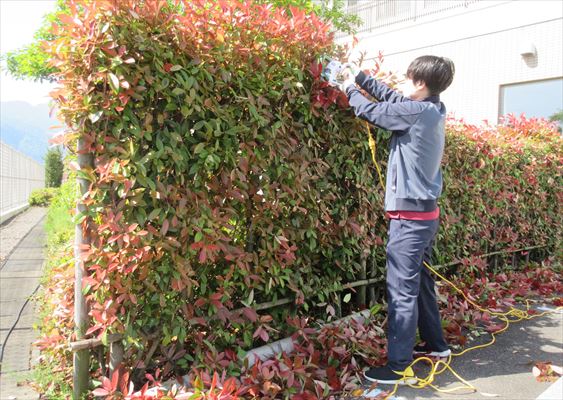 今日は園内・地域清掃