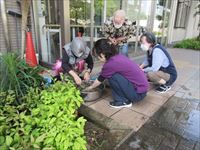 IMG_3310_R