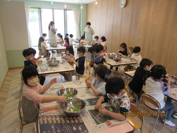 きぬさやの筋取り（5月8日実施）